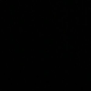 Meet your Posher, Dillon